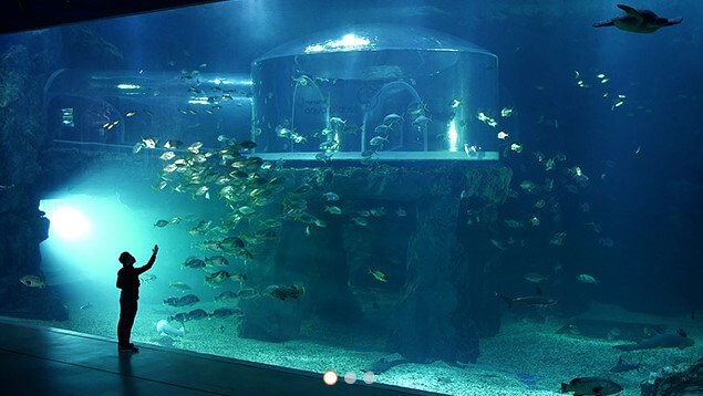 여수 가볼만한 곳 베스트10, 핫플