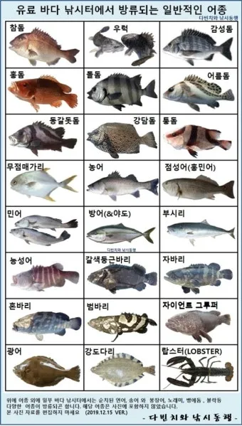 낚시터 계절별 전략 여름 장마철 가을 낙엽철 겨울 한파철_2