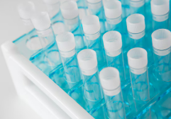 제약사 배당주 높은 주식, 고배당 주식 순위 및 해외제약사 비교 (2025년)