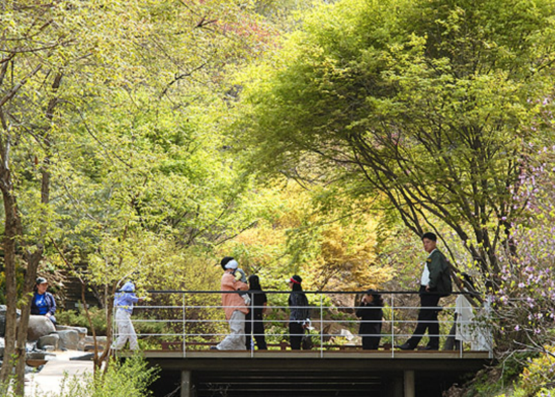 용인 한택식물원 안내 