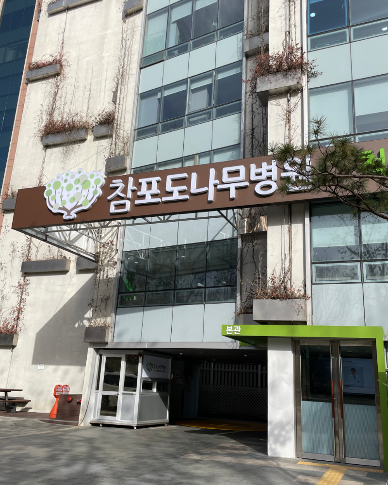 서초구 양재1동 정형외과 유명하고 잘하는 곳 추천 TOP 5