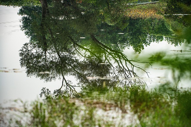 변기가 넘치는 꿈 해몽(똥꿈해몽풀이&amp;#44; 무료꿈해몽풀이)