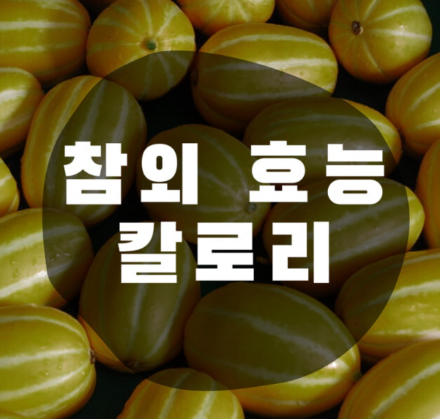 참외 칼로리
