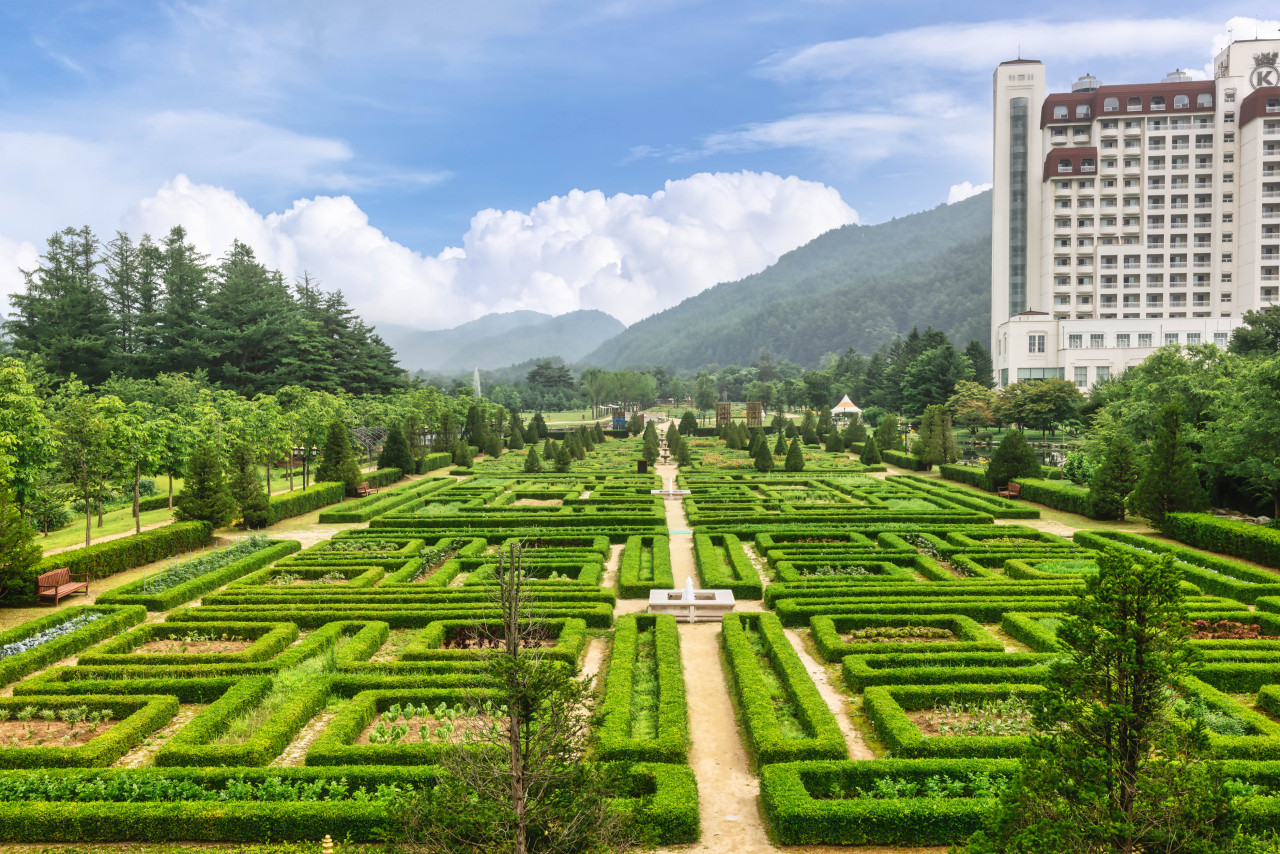 켄싱턴 프렌치가든