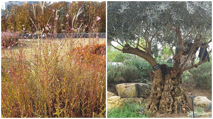 서울식물원-호수원-습지원