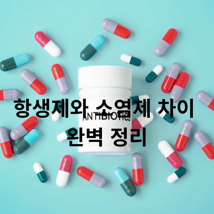 항생제와 소염제 차이 완벽 정리
