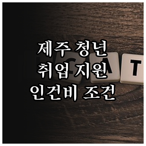 2025 제주 청년 취업 프로젝트 인..