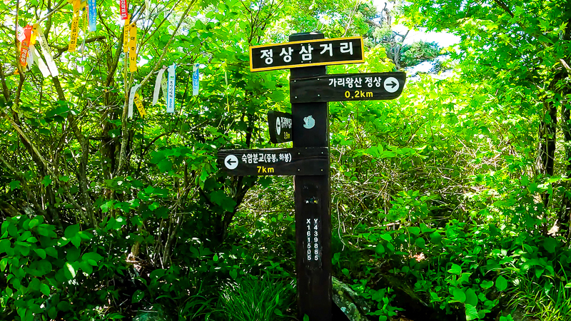 가리왕산 정상 삼거리