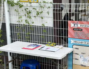 반려견과 함께하는 전국휴게소