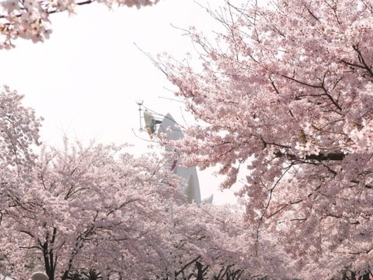오사카 반바쿠공원