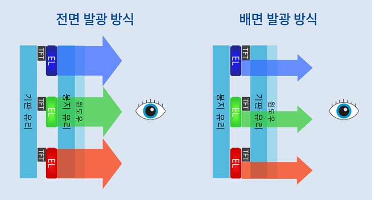 구조모식도
