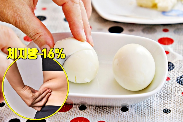 달걀흰자 효능, 체지방 빼는 식단, 체지방 분해 식품, 다이어트 피트니스 건강, 팁줌 매일꿀정보