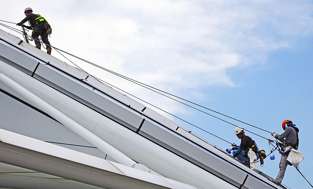 정말로 힘든 결정을 내려야 할 수 있다.