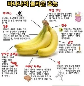 바나나 효능 식이섬유 포만감 운동 전후 효과_2