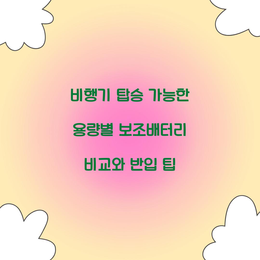 비행기 탑승 가능한 용량별 보조배터리 비교