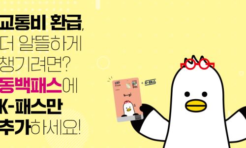 K패스 카드사별 환급일