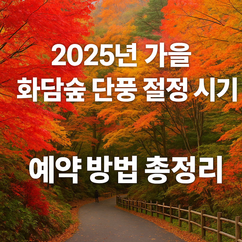 2025년 가을 화담숲 단풍 절정 시기와 예약 방법 총정리 썸네일
