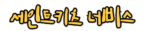 세인트키츠 네비스 라는 나라 이름 적었음.