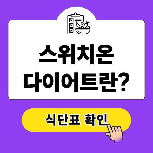 스위치온 다이어트란 식단 정리