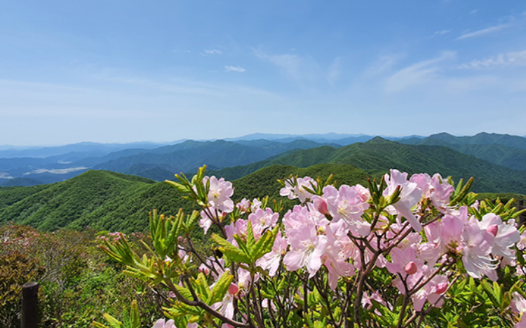 덕유산 케이블카