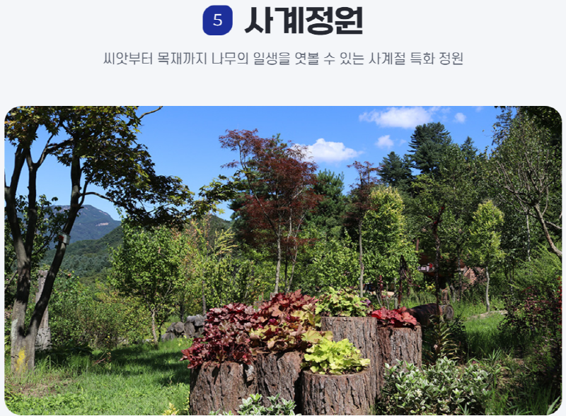 물맑음 수목원