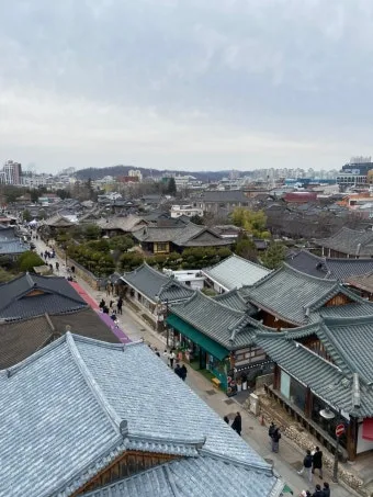 전주 근교 가볼만한곳 완주 벚꽃 명소 맛집_5
