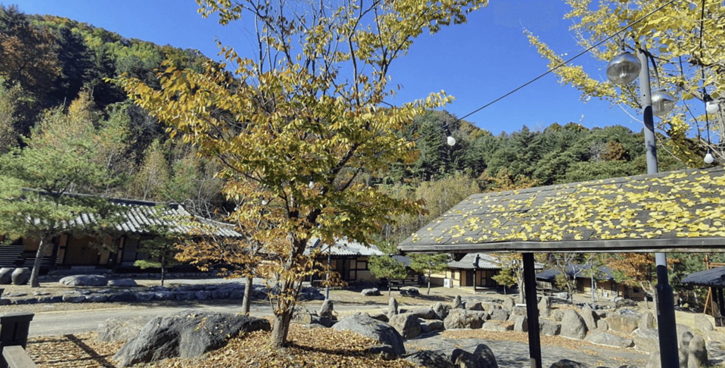 양평 남겨서 뭐 하게 맑은숲캠프