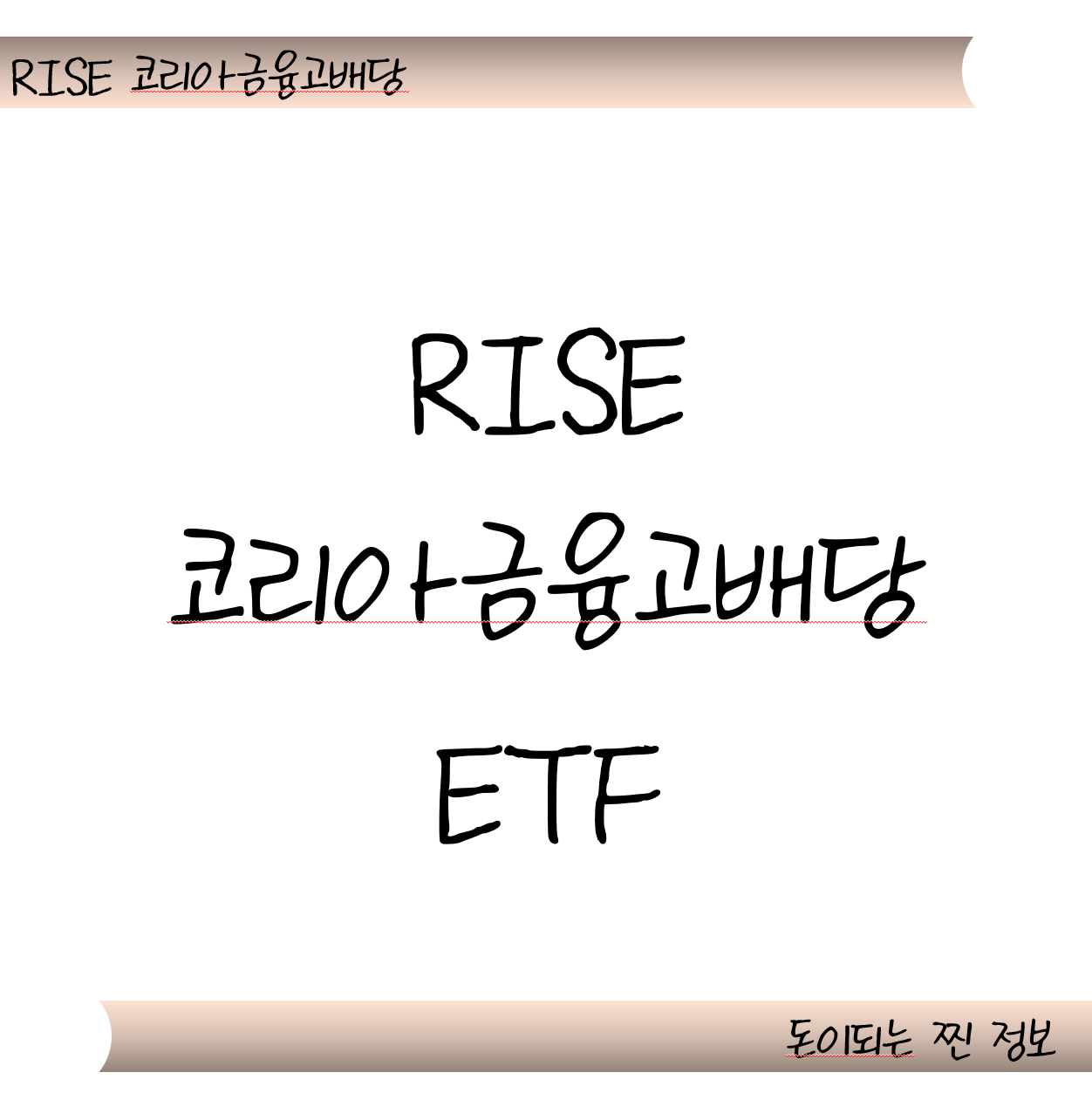 RISE 코리아금융고배당 ETF