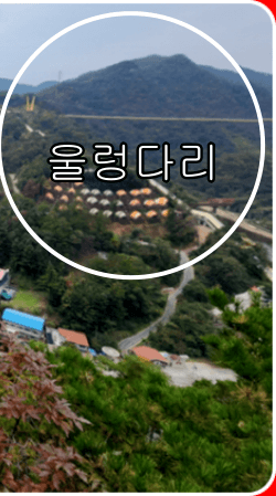 원주 소금산 출렁다리