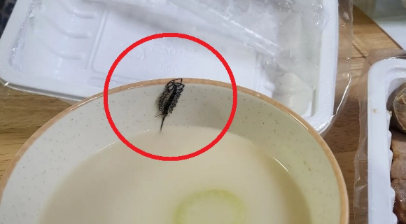 국밥에 들어간 벌레의 사진 [사진=아프니까 사장이다 캡쳐]