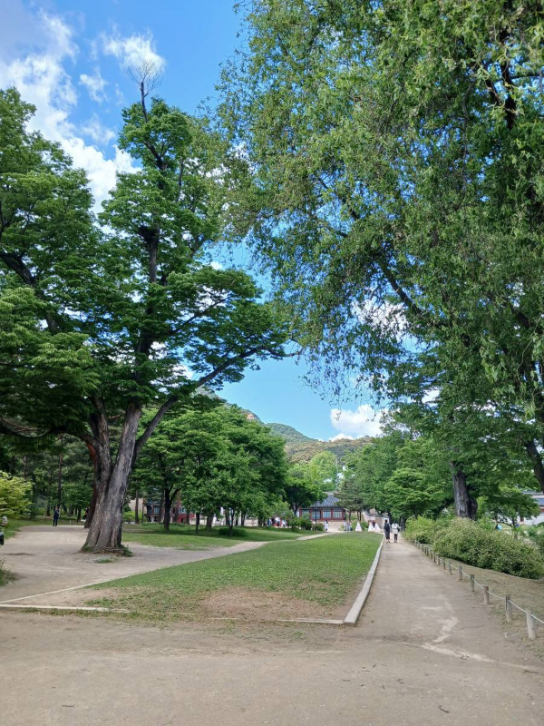 경복궁 북쪽길