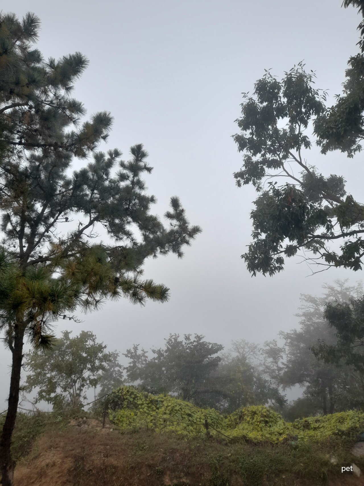 경기-파주-강나루야영-예약-방법-애견-동반-가격-주소-시간-후기