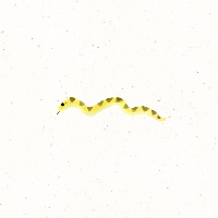 1965년생 뱀띠 운세