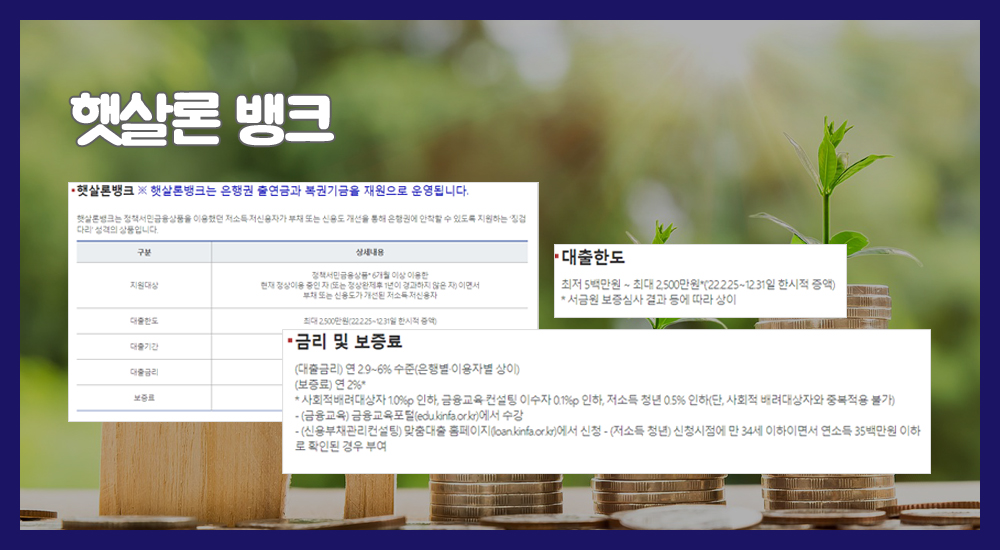 정부지원저금리대출