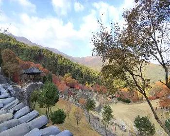 하동 삼성궁_9
