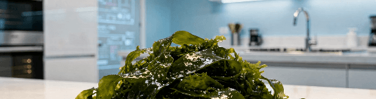 김 효능 부작용 칼로리