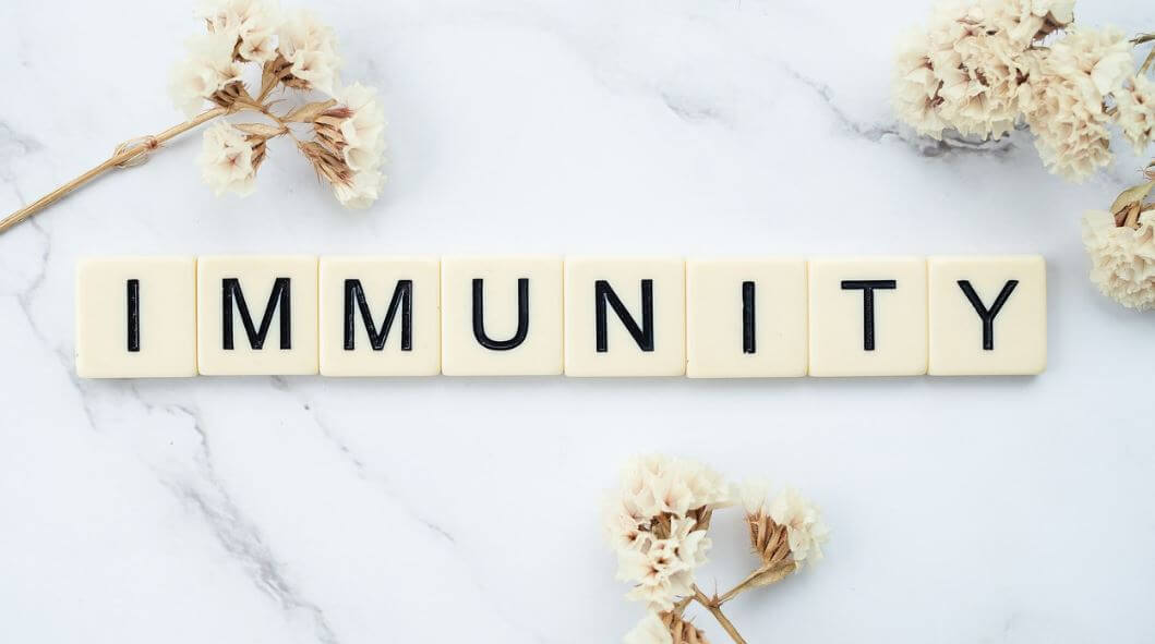 아로니아-제품의-종류와-선택-방법