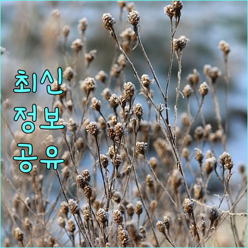 리프팅 후 붓기, 통증, 관리법 완벽