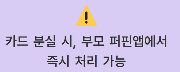 퍼핀카드(초등학생 체크카드)