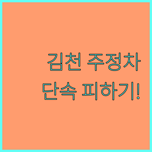 김천 주정차 단속 문자 알림 서비스 ..