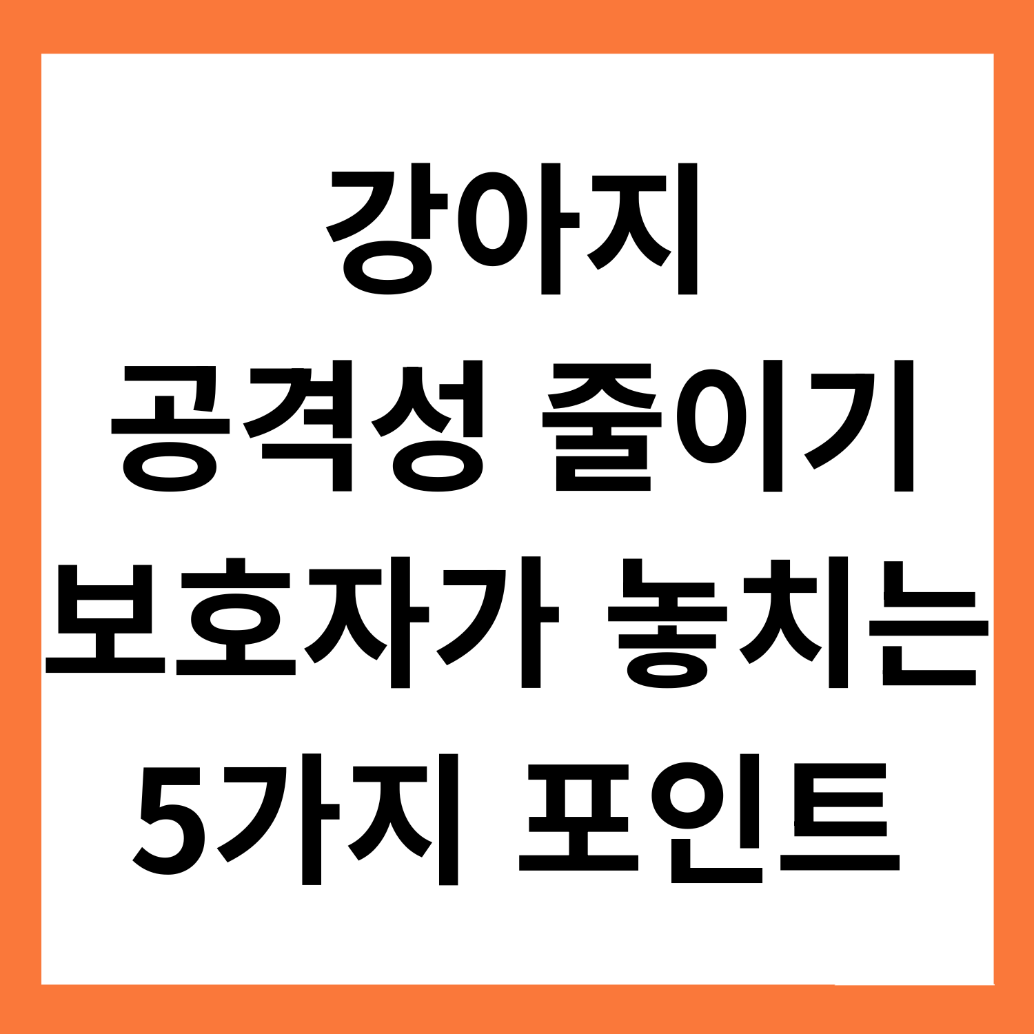 강아지의 공격성 줄이기: 보호자가 놓치기 쉬운 5가지 포인트