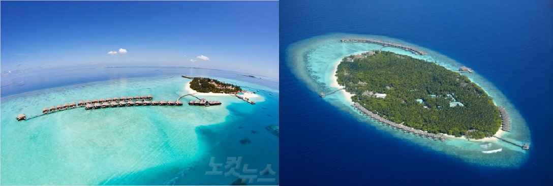 라군이 발달된 곳(좌) VS 수중환경이 발달된 곳(우)