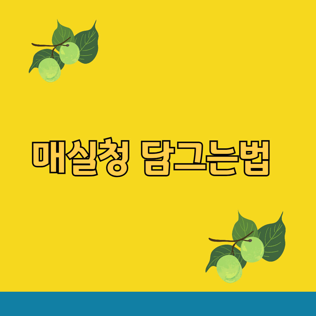 매실청 담그는법