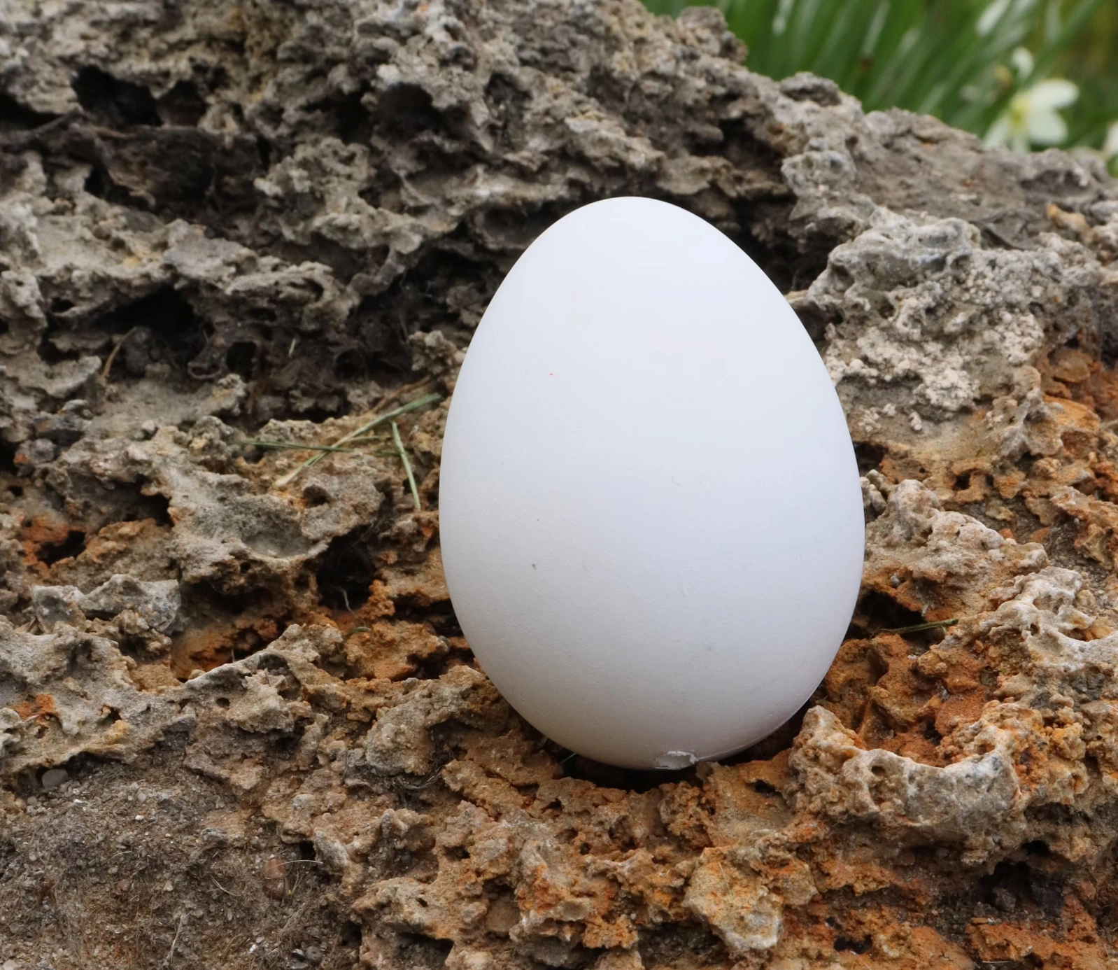 계란 난각번호 3번