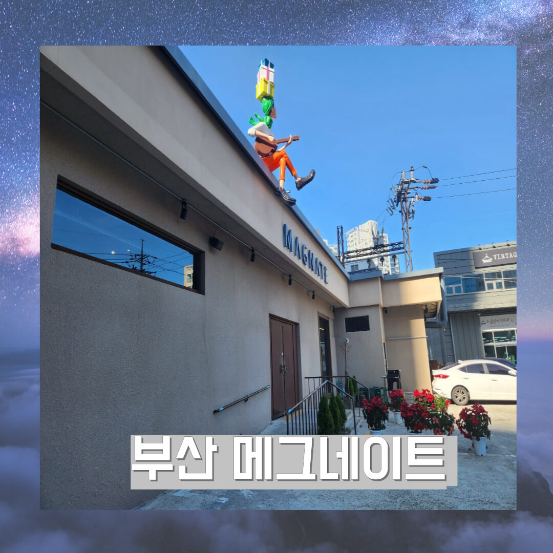 부산 메그네이트 사진
