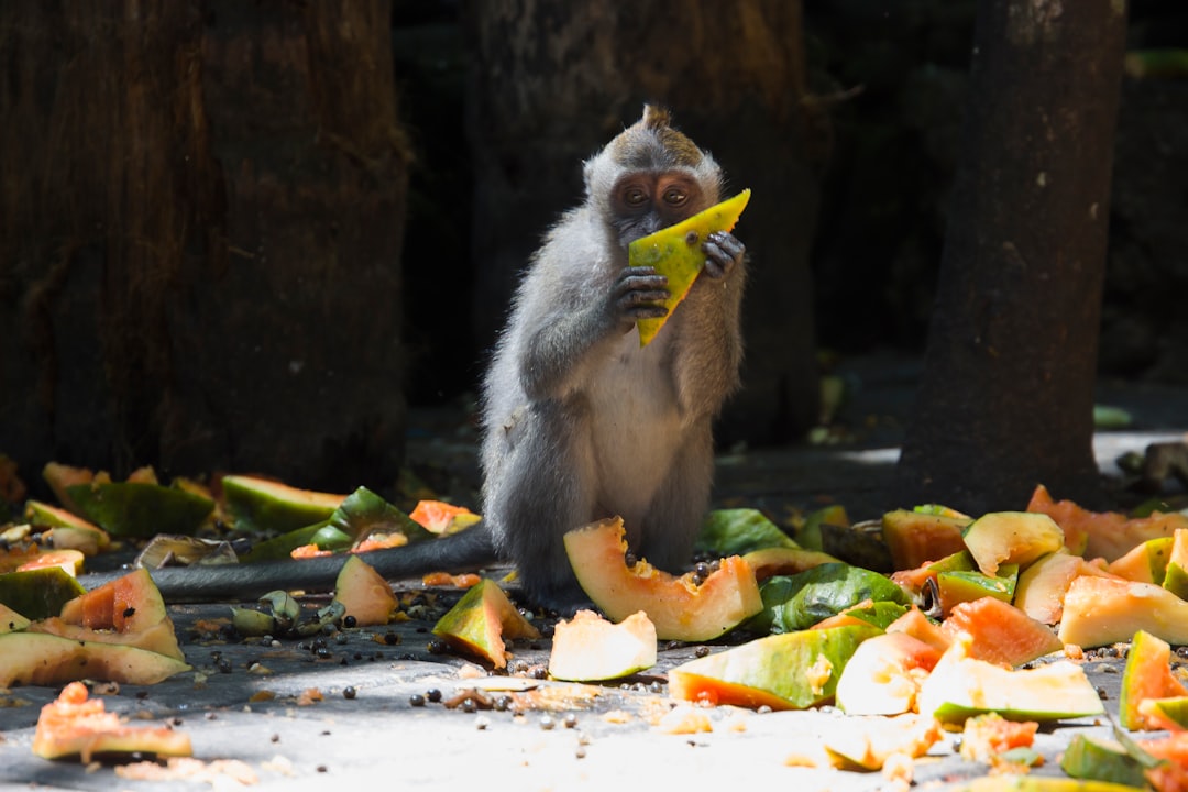 Food waste