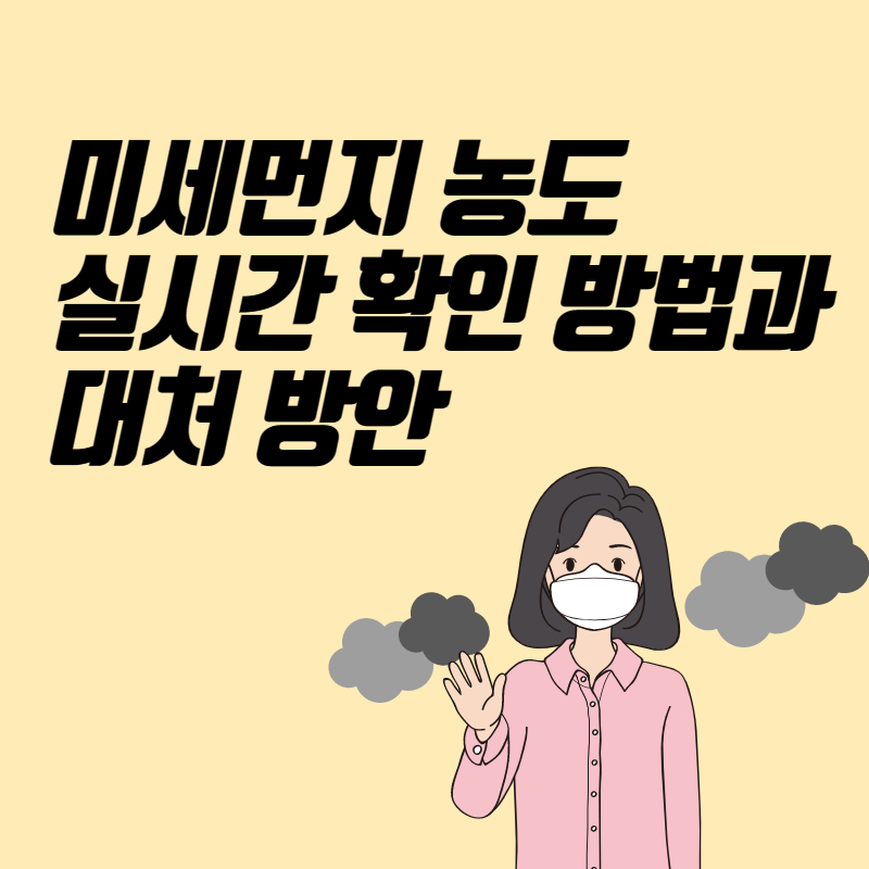 미세먼지 농도 실시간 확인 방법과 대처 방안
