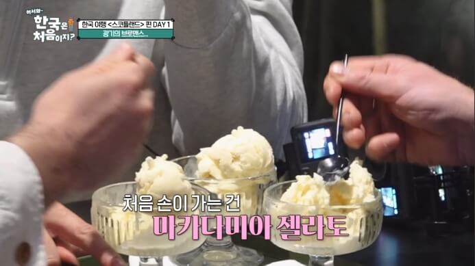 마카다미아-젤라토