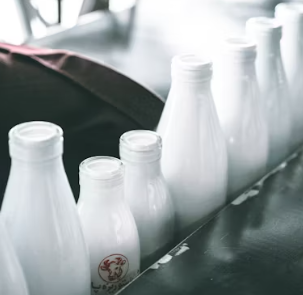 단백질 많은 음식 식물성 동물성