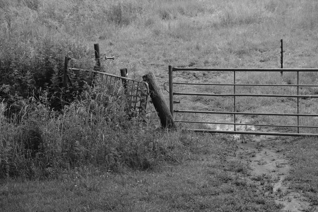 'boundaries'
